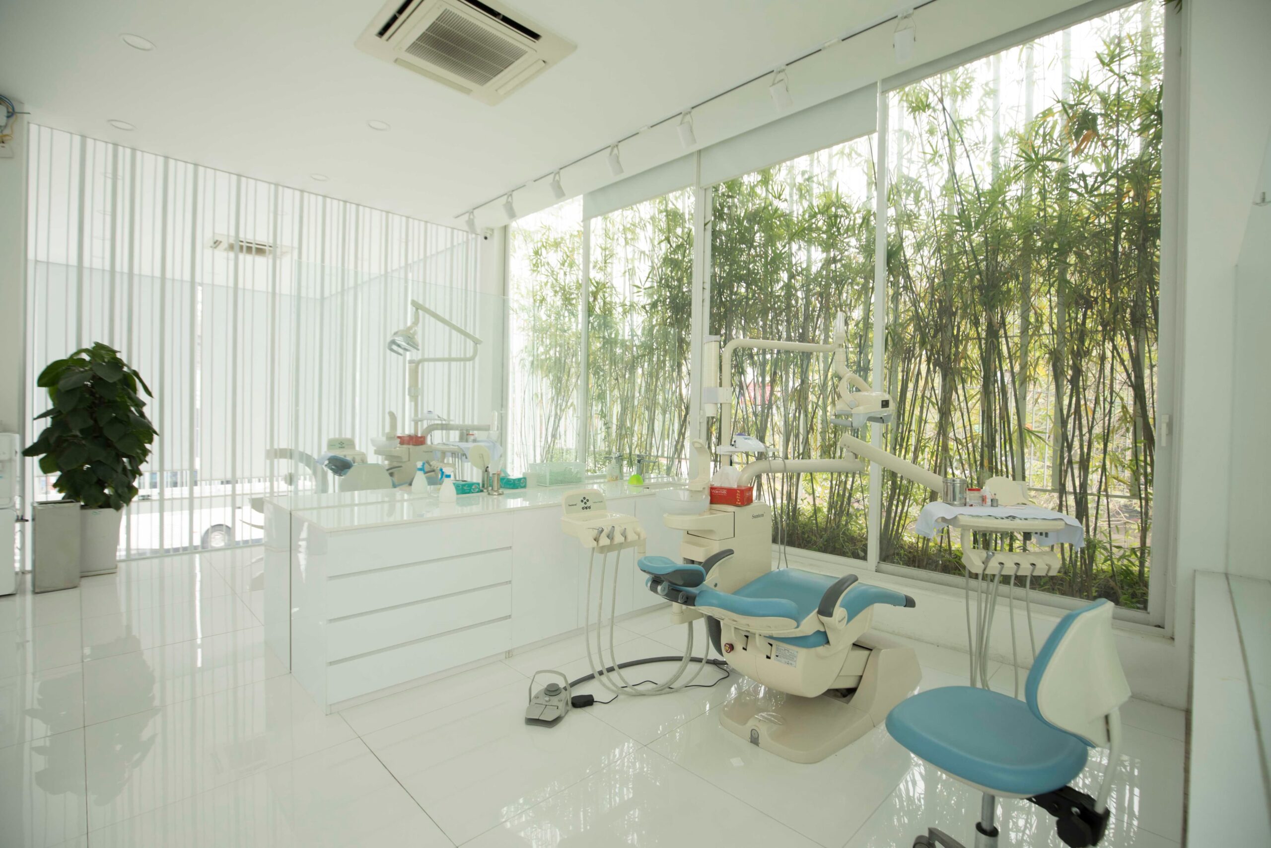 Nụ Cười Việt